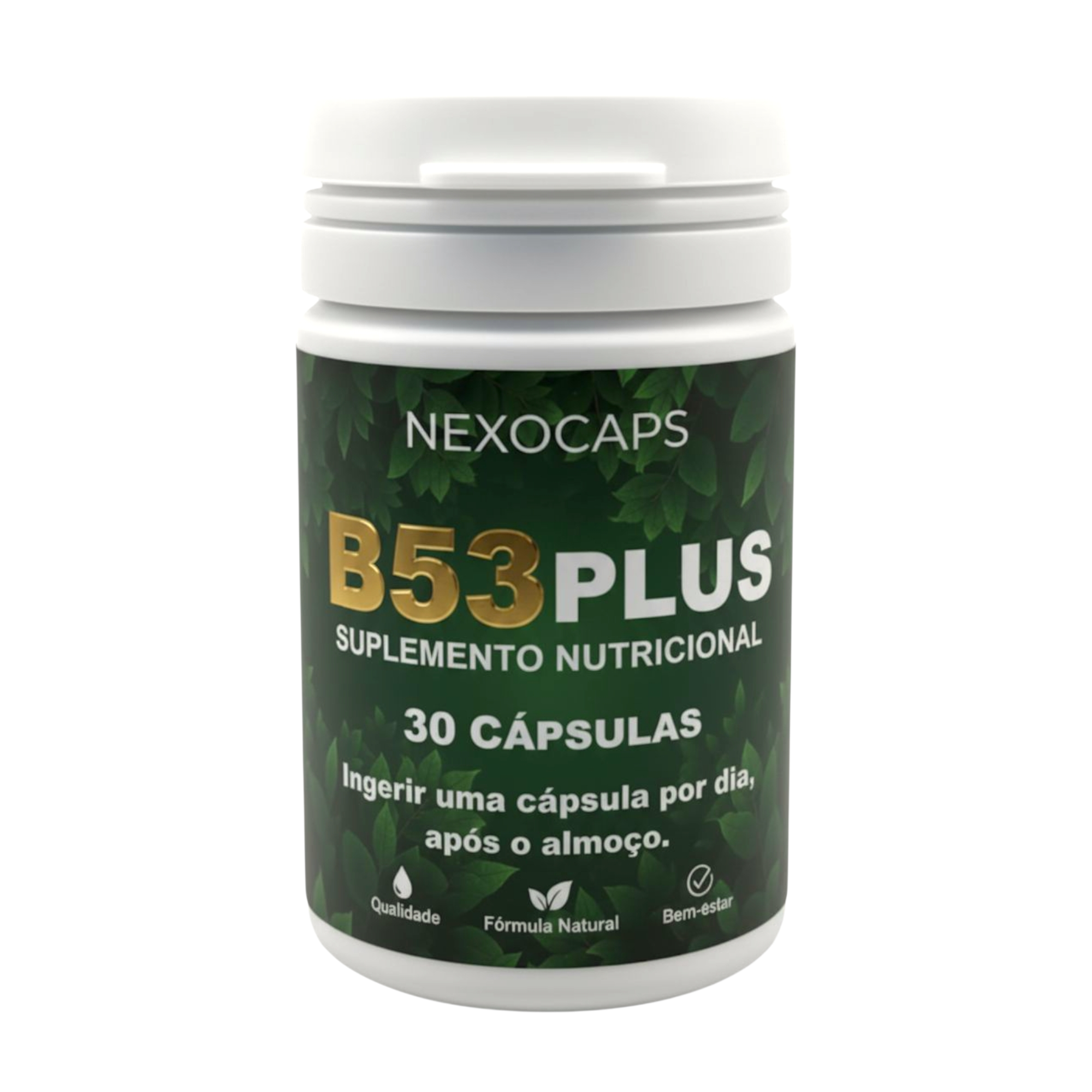 B53 Plus