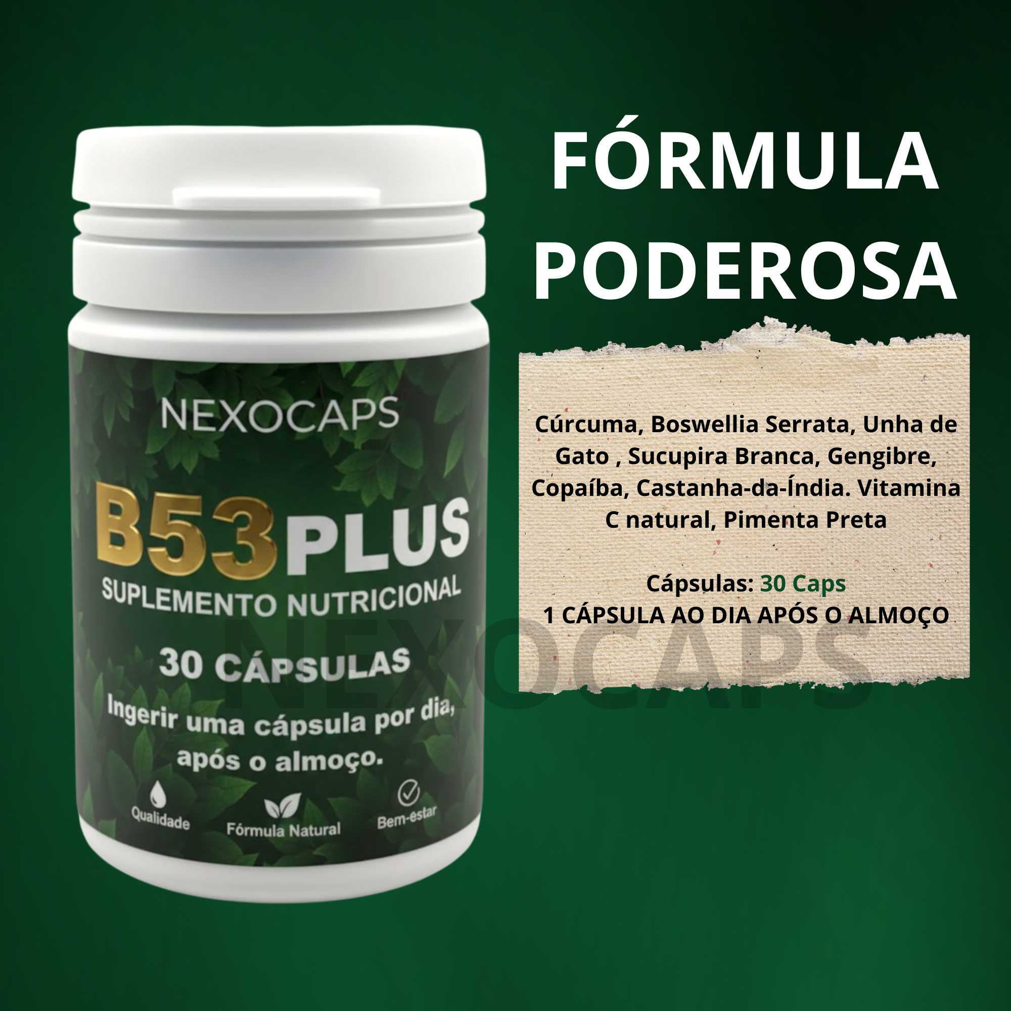 B53 Plus