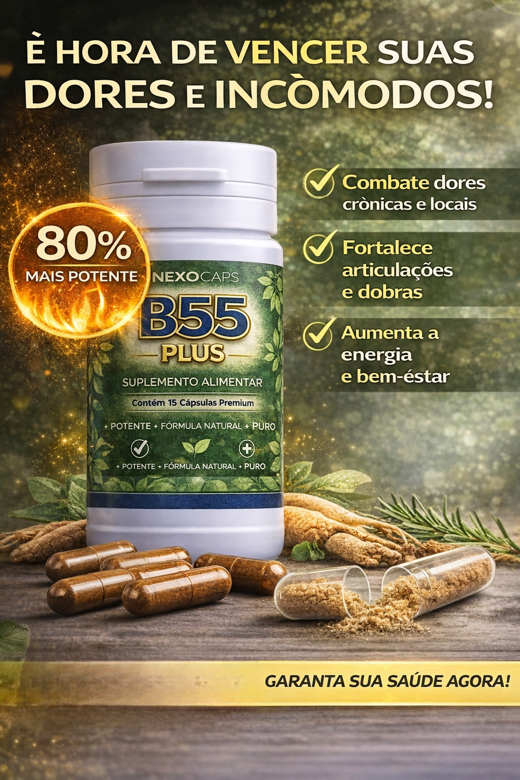 B55 Plus